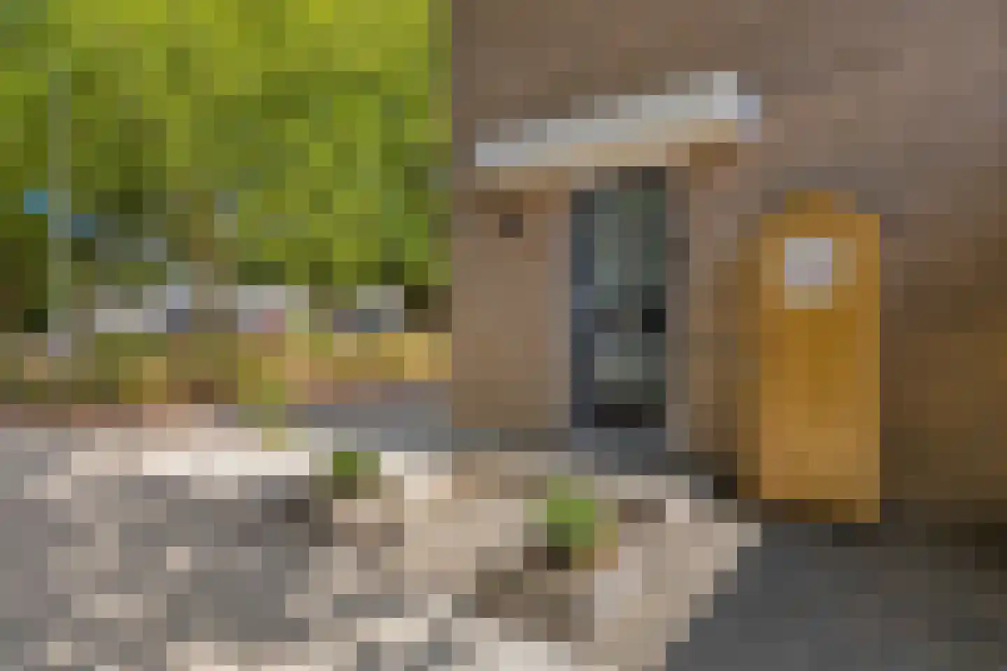 Meeuwenweg 1 Goes thumbnail 5