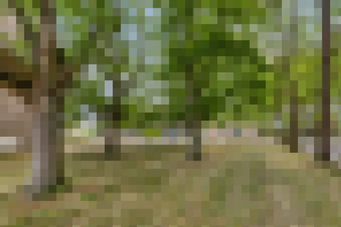 Meeuwenweg 1 Goes thumbnail 55