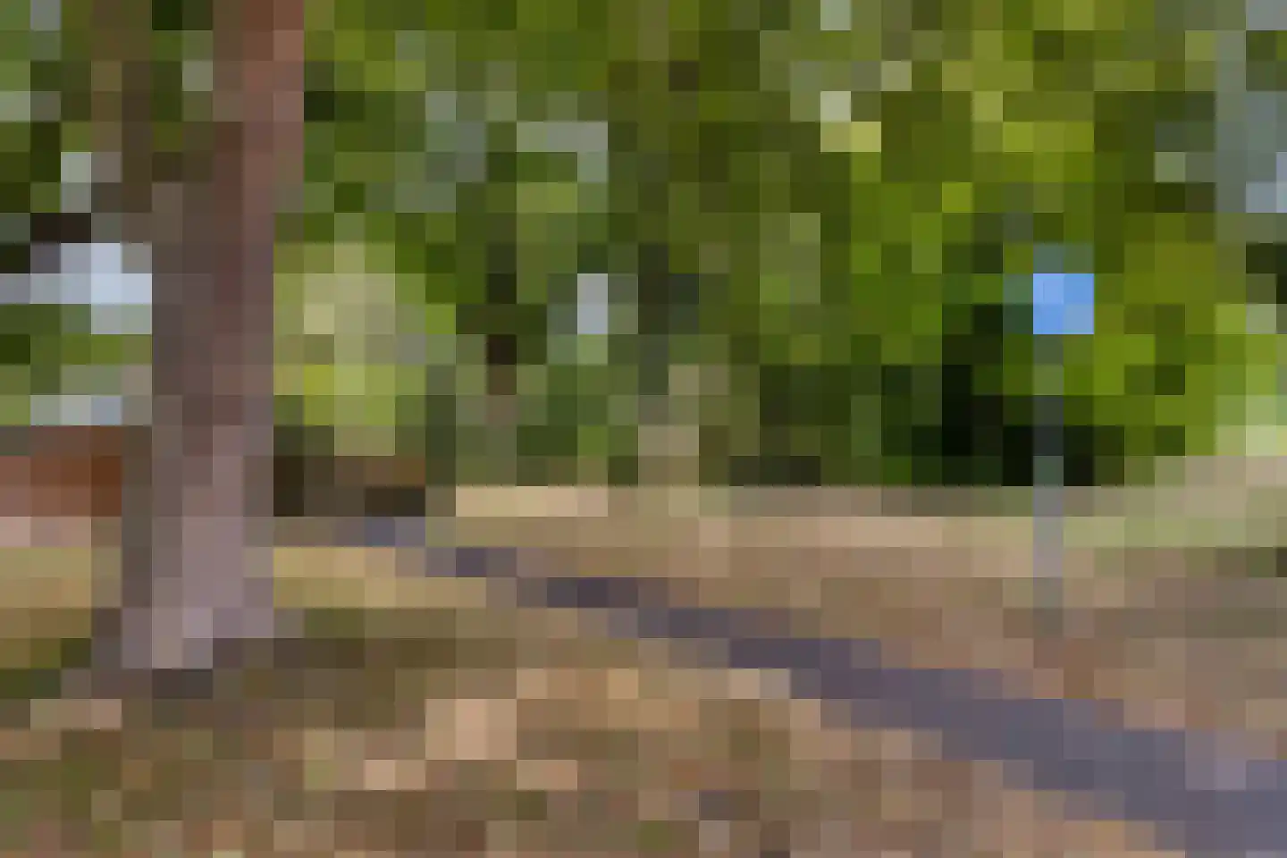 Meeuwenweg 1 Goes thumbnail 56