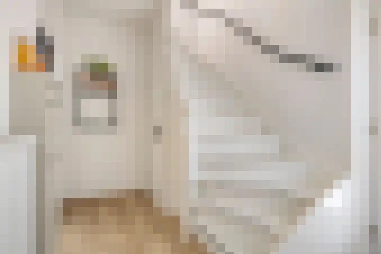 Meeuwenweg 1 Goes thumbnail 6