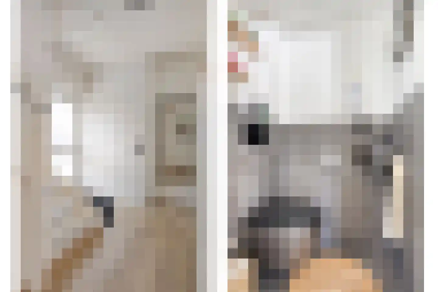 Meeuwenweg 1 Goes thumbnail 7