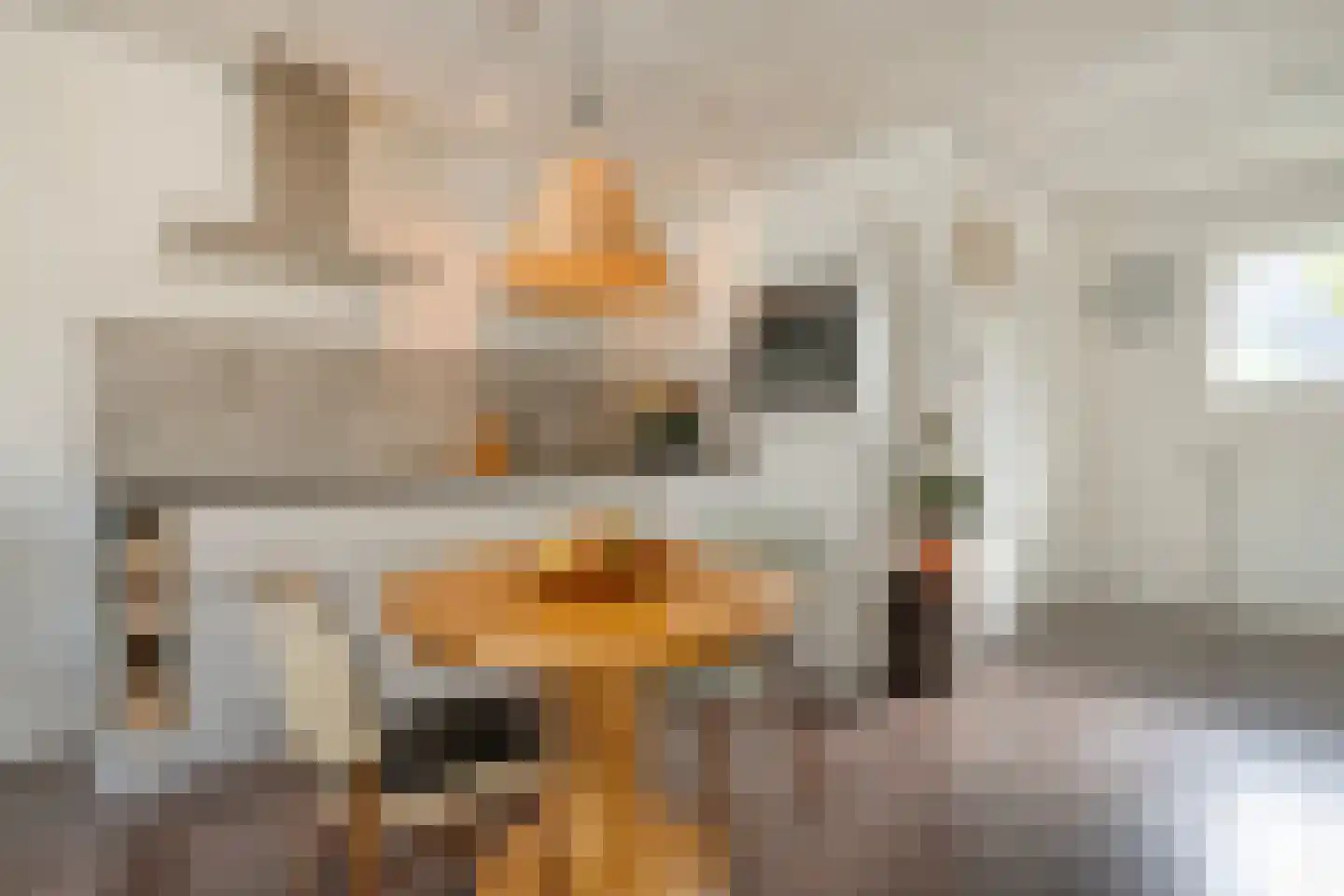 Meeuwenweg 10 B Kampen thumbnail 31