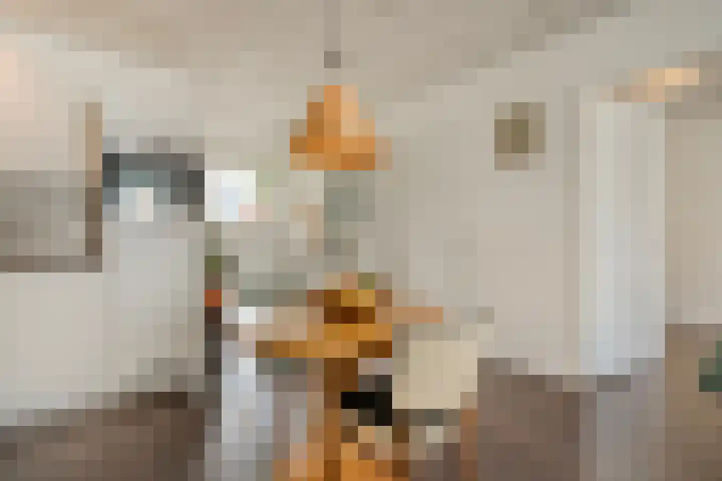 Meeuwenweg 10 B Kampen thumbnail 32