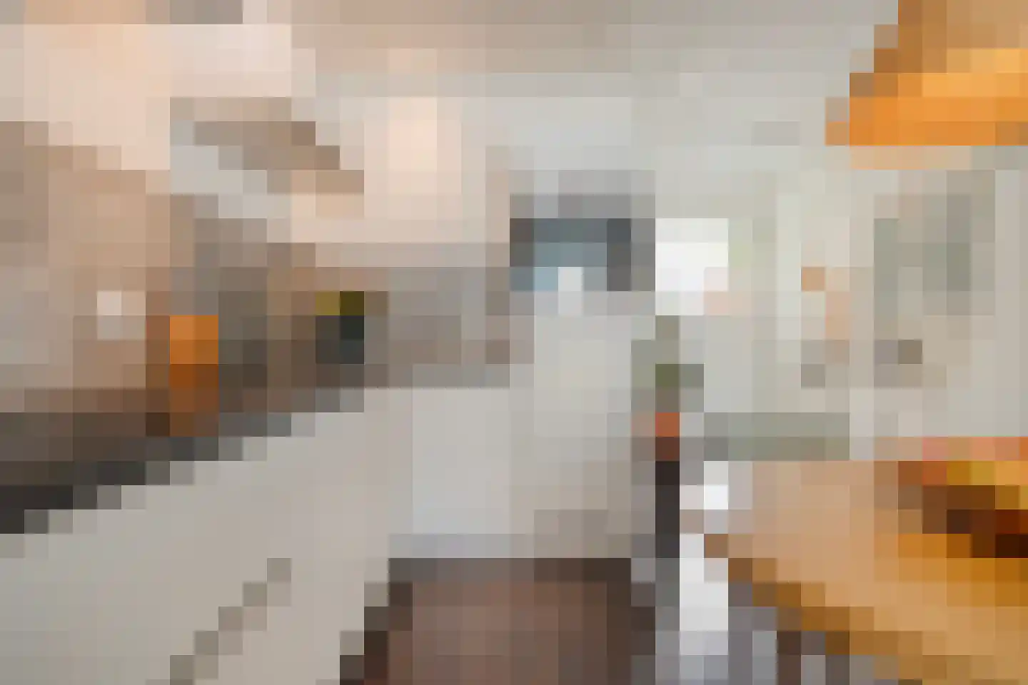 Meeuwenweg 10 B Kampen thumbnail 33