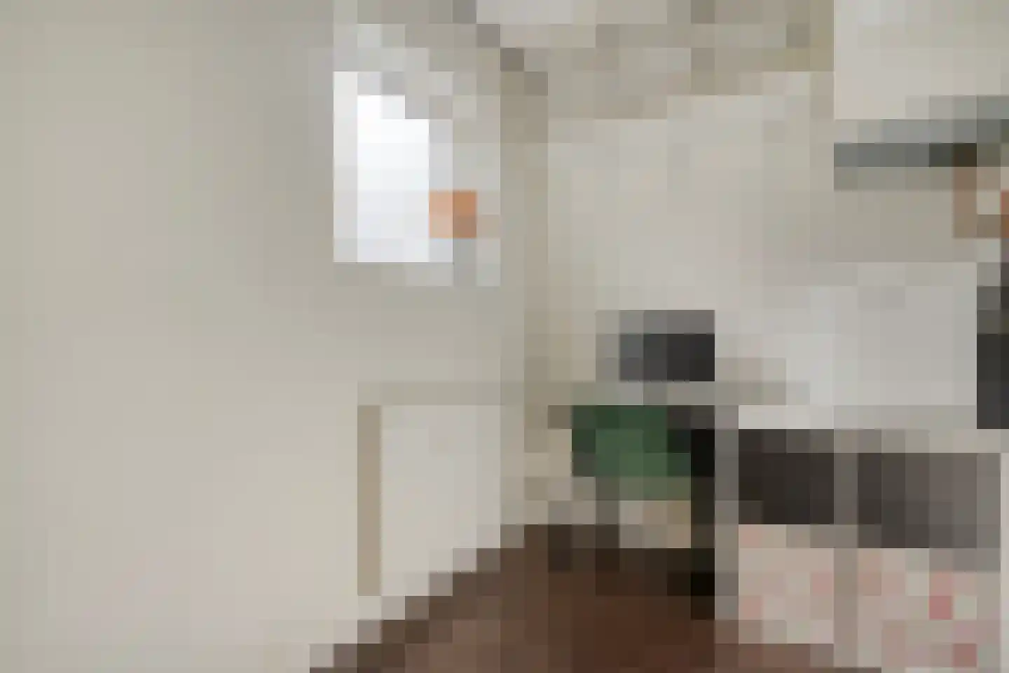 Meeuwenweg 10 B Kampen thumbnail 39