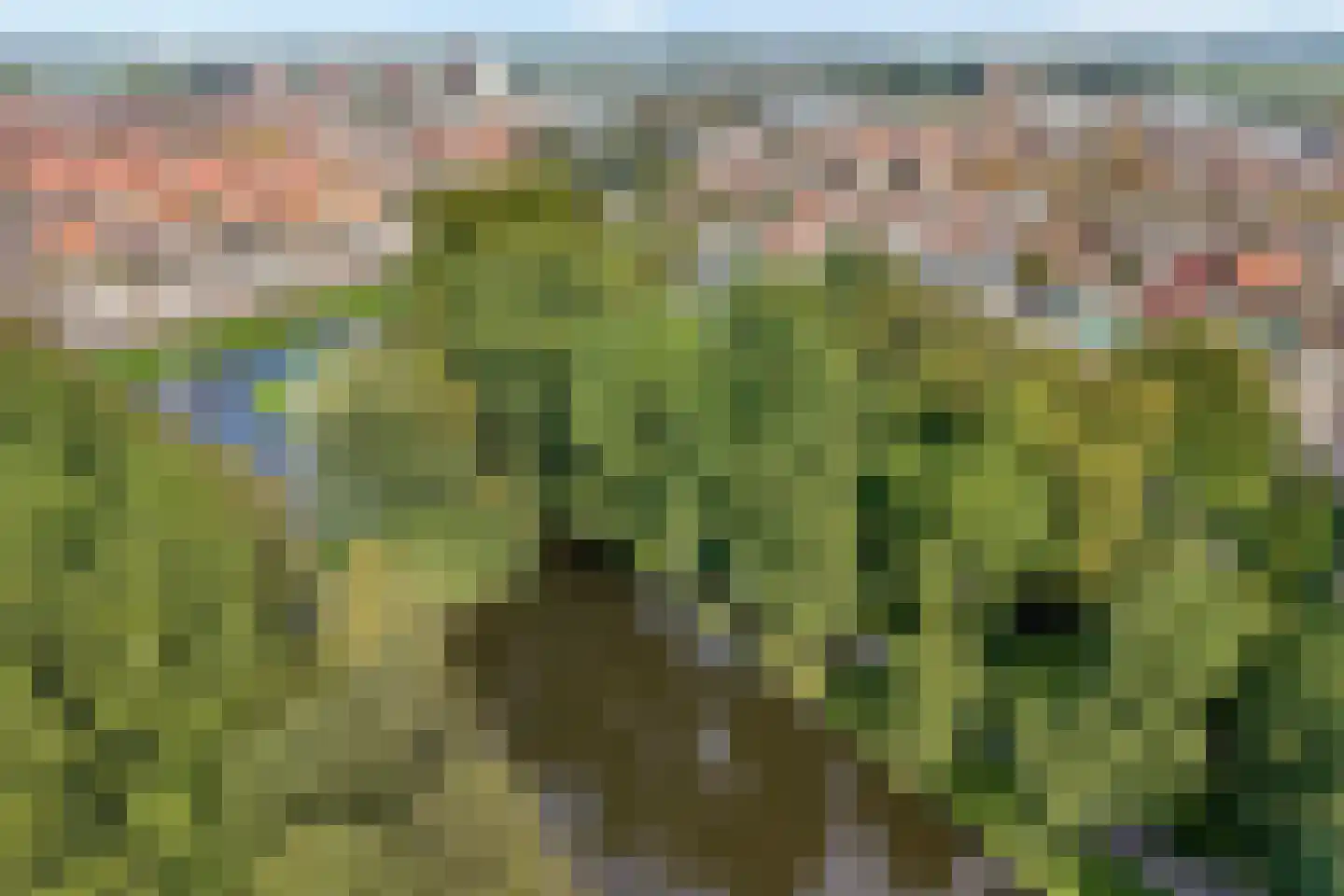 Meeuwenweg 10 B Kampen thumbnail 48