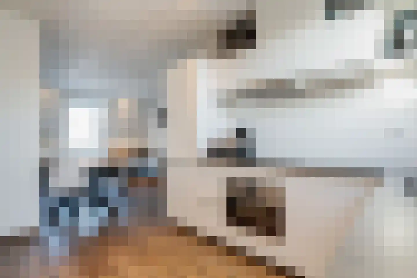 Meeuwenweg 10 H Kampen thumbnail 14