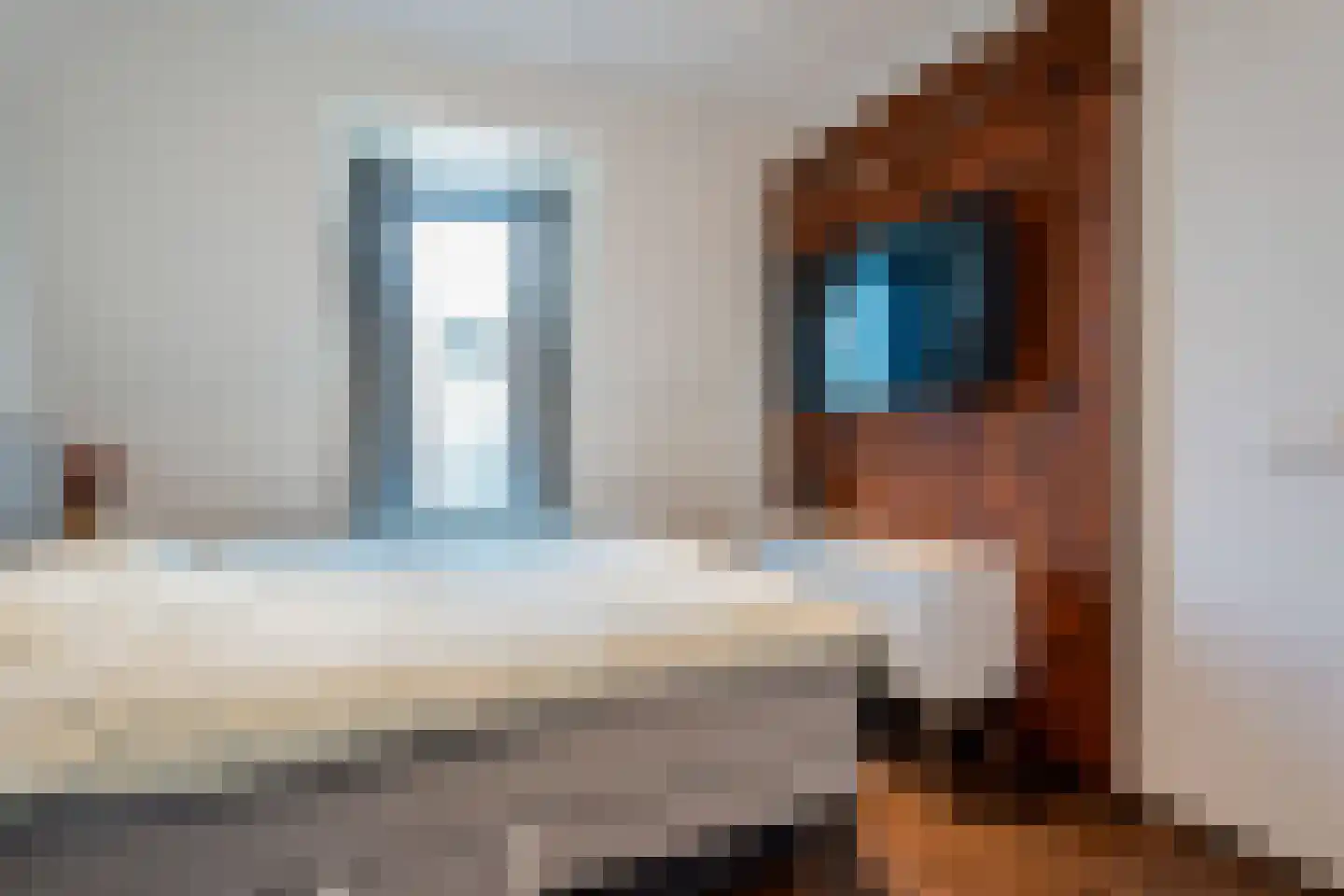 Meeuwenweg 10 H Kampen thumbnail 18