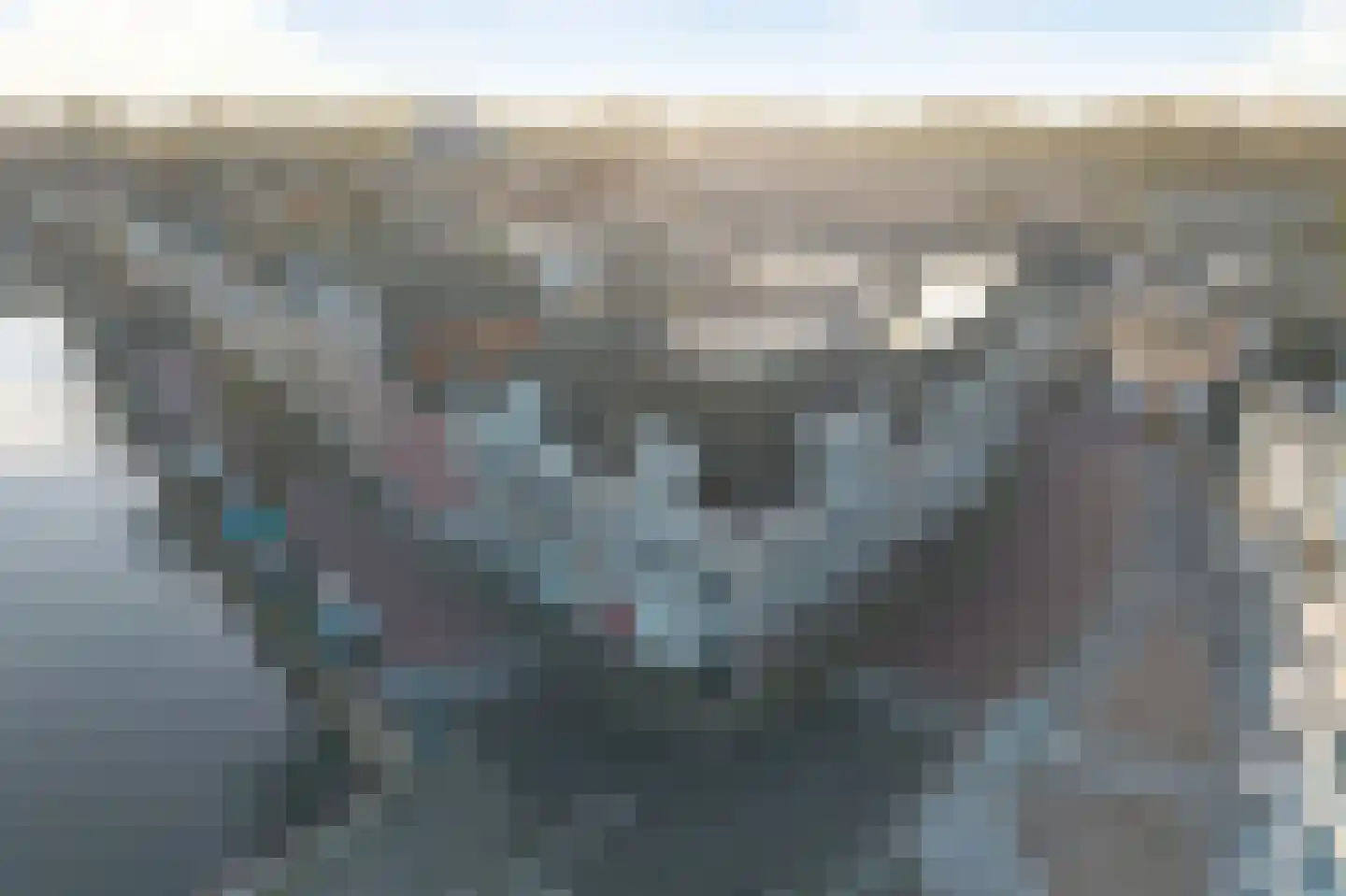 Meeuwenweg 10 H Kampen thumbnail 5