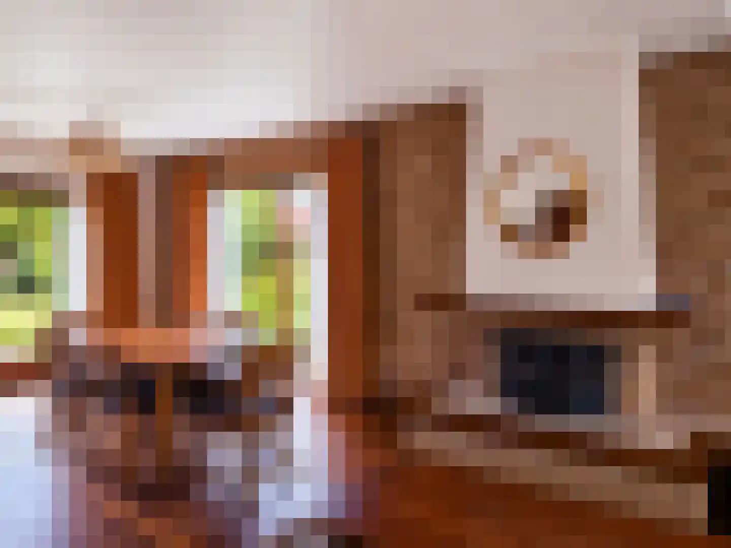 Meeuwenweg 12 Hengelo thumbnail 14