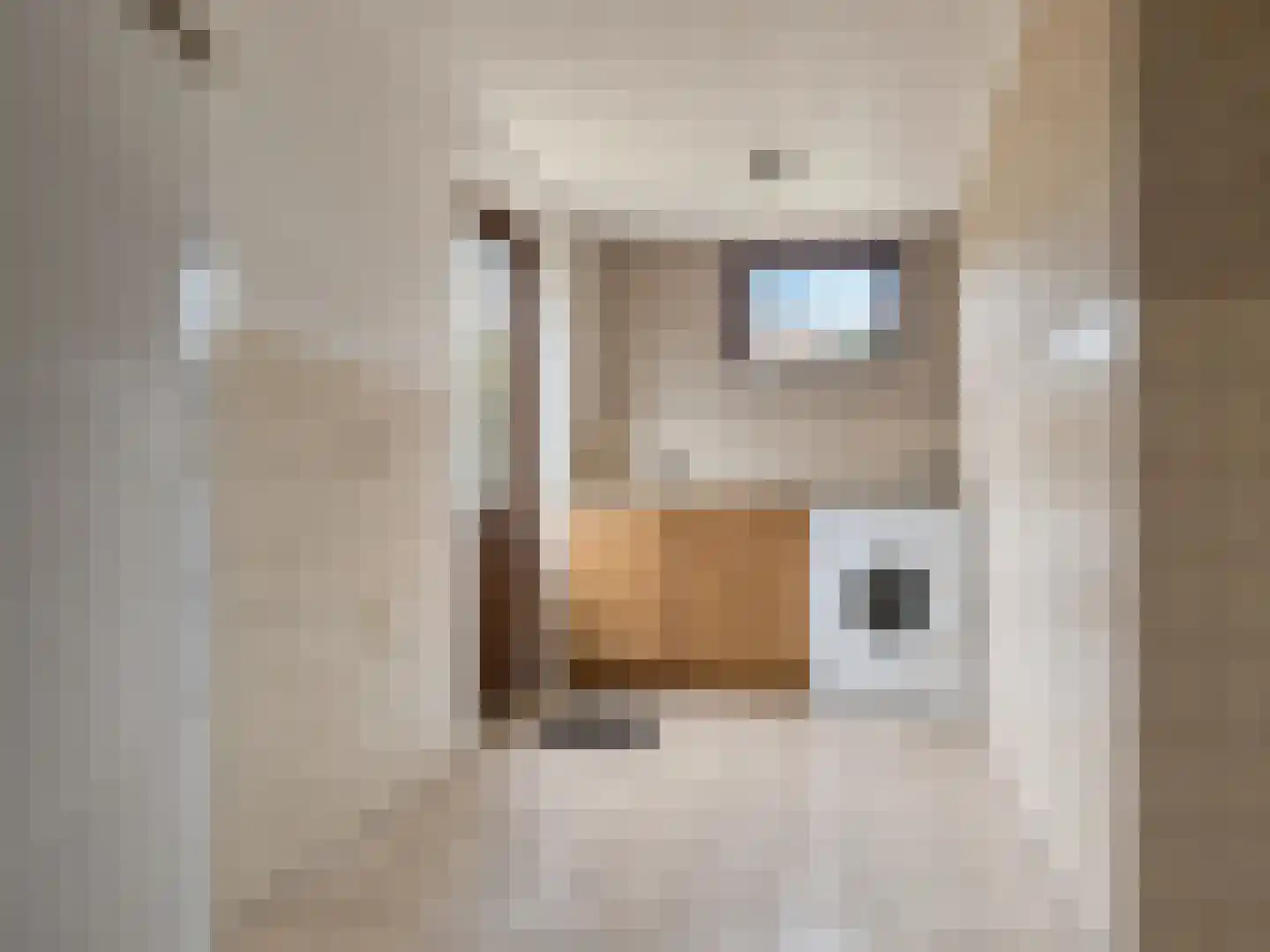 Meeuwenweg 12 Hengelo thumbnail 27