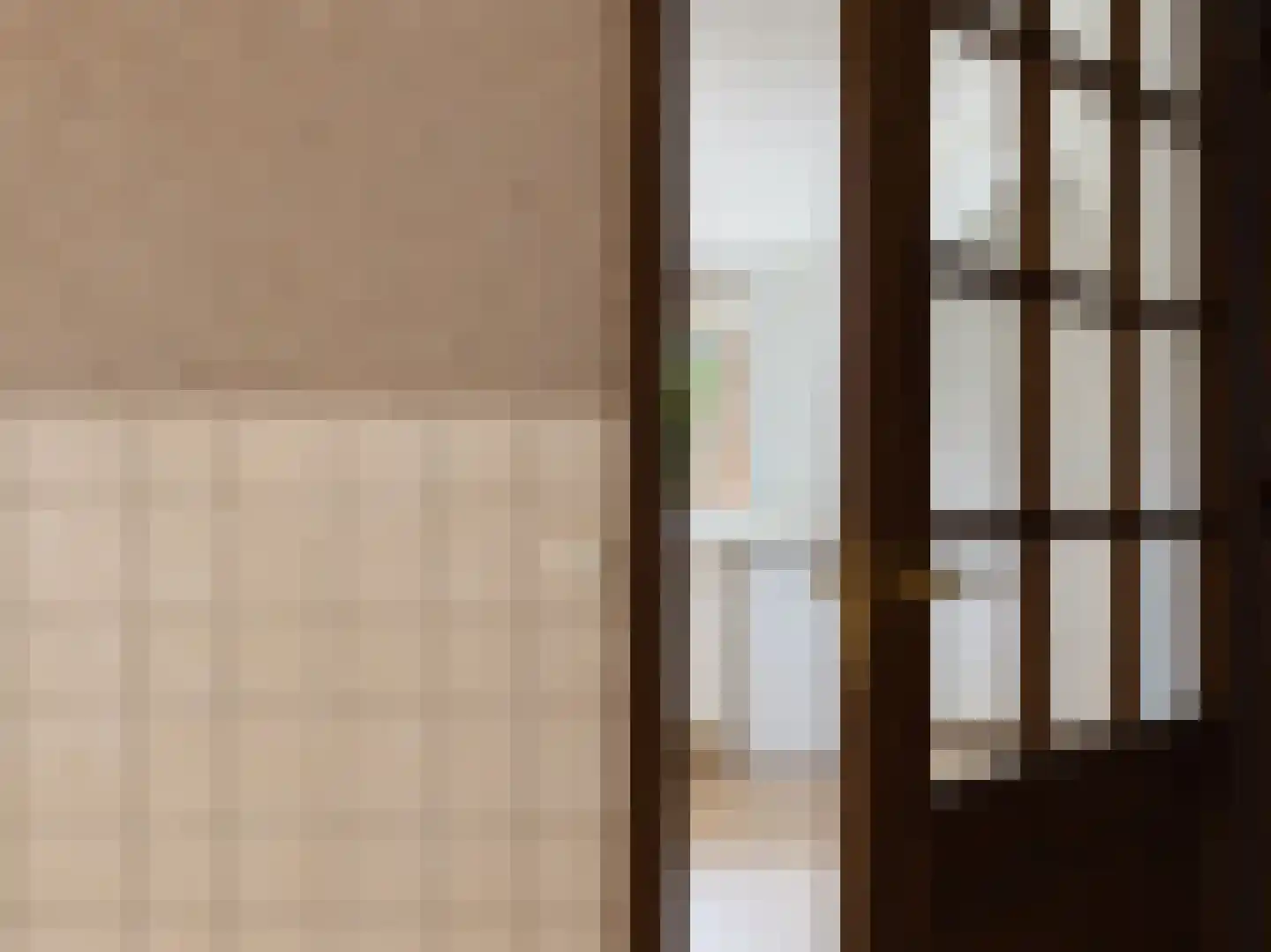 Meeuwenweg 12 Hengelo thumbnail 31