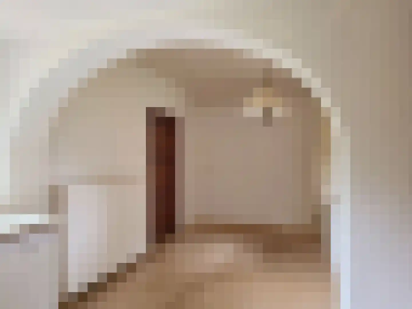 Meeuwenweg 12 Hengelo thumbnail 32