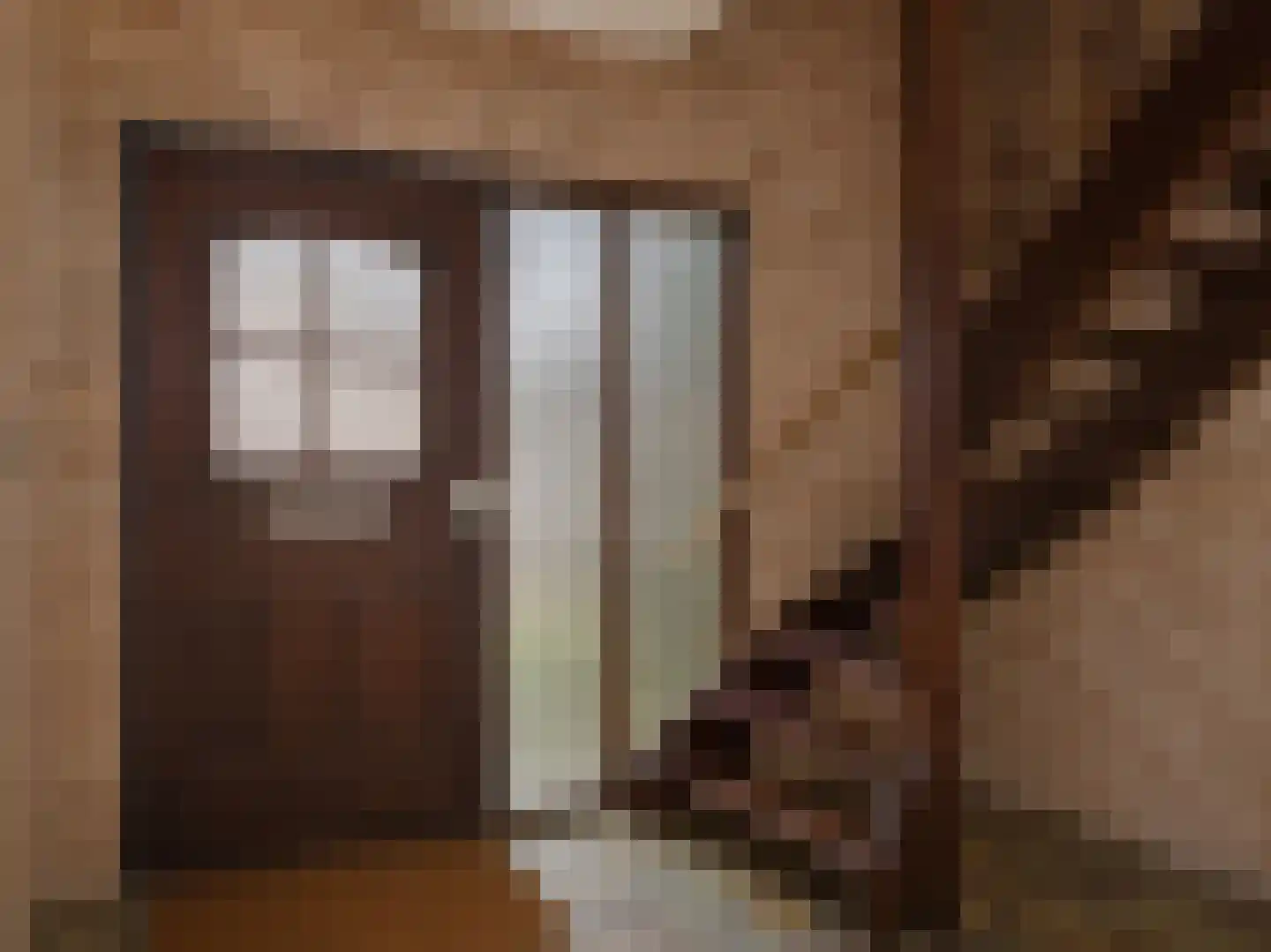 Meeuwenweg 12 Hengelo thumbnail 36