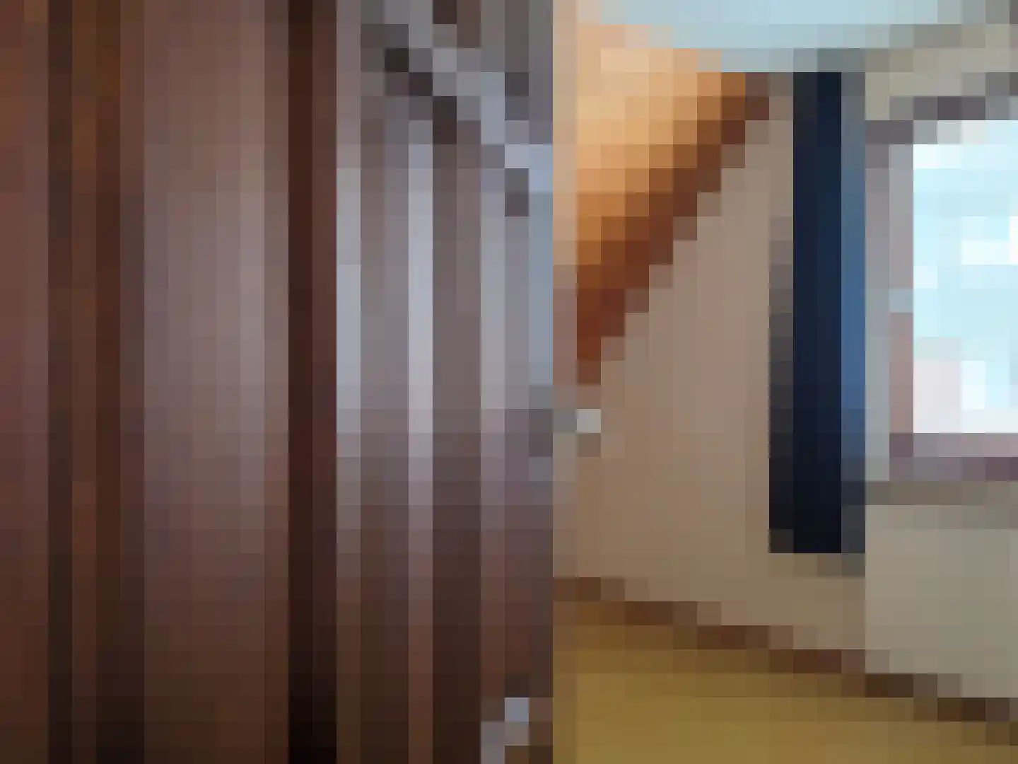 Meeuwenweg 12 Hengelo thumbnail 41