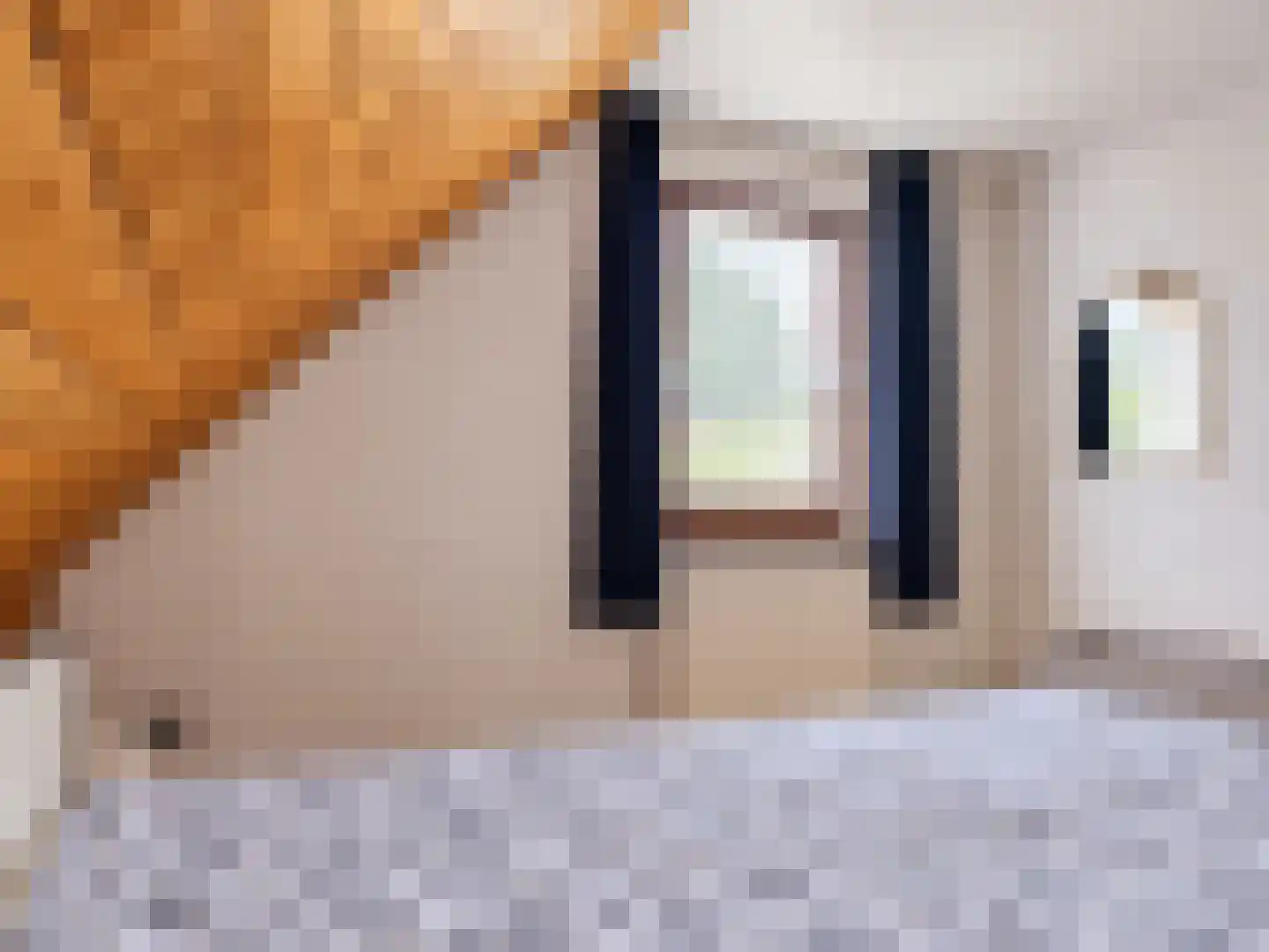 Meeuwenweg 12 Hengelo thumbnail 65
