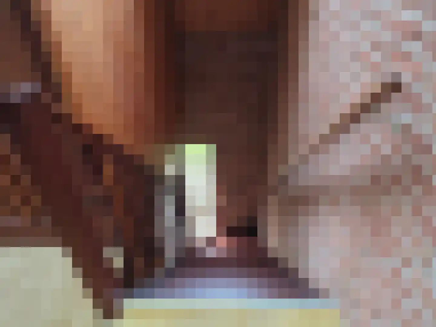 Meeuwenweg 12 Hengelo thumbnail 69