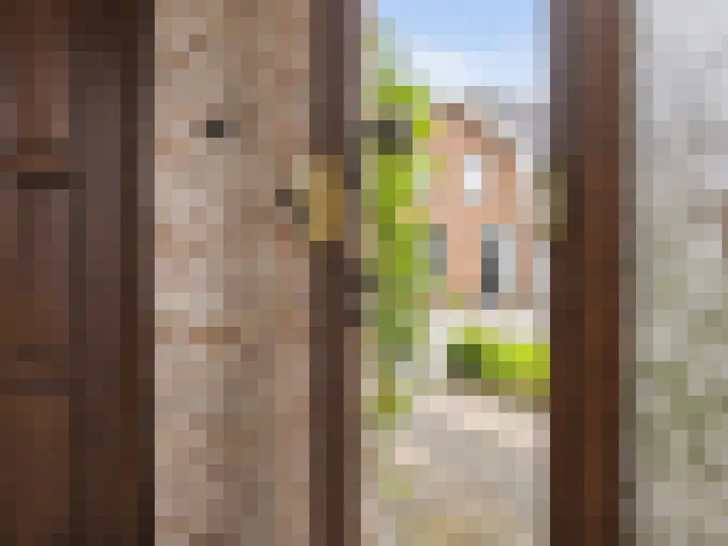 Meeuwenweg 12 Hengelo thumbnail 71