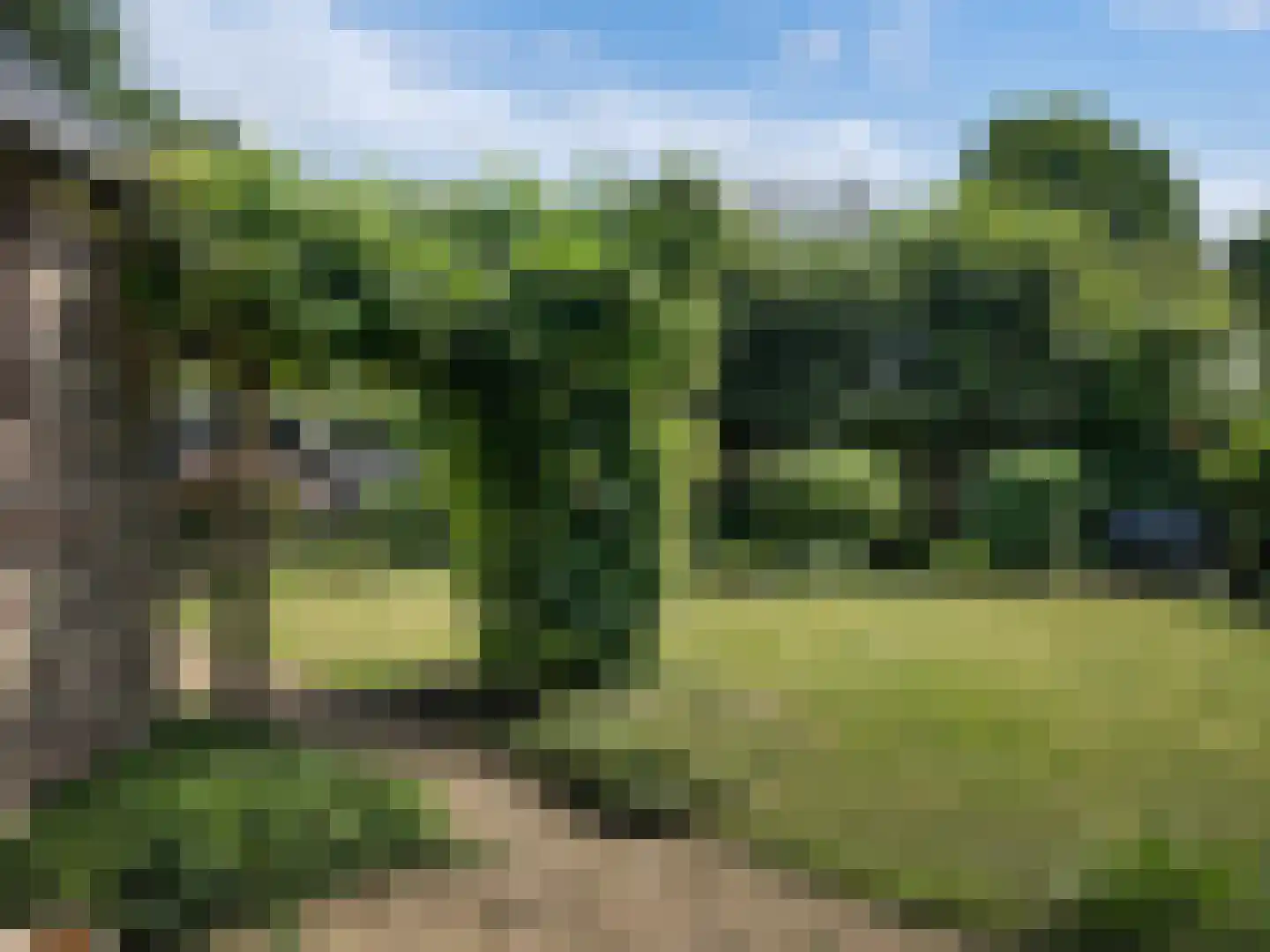 Meeuwenweg 12 Hengelo thumbnail 73