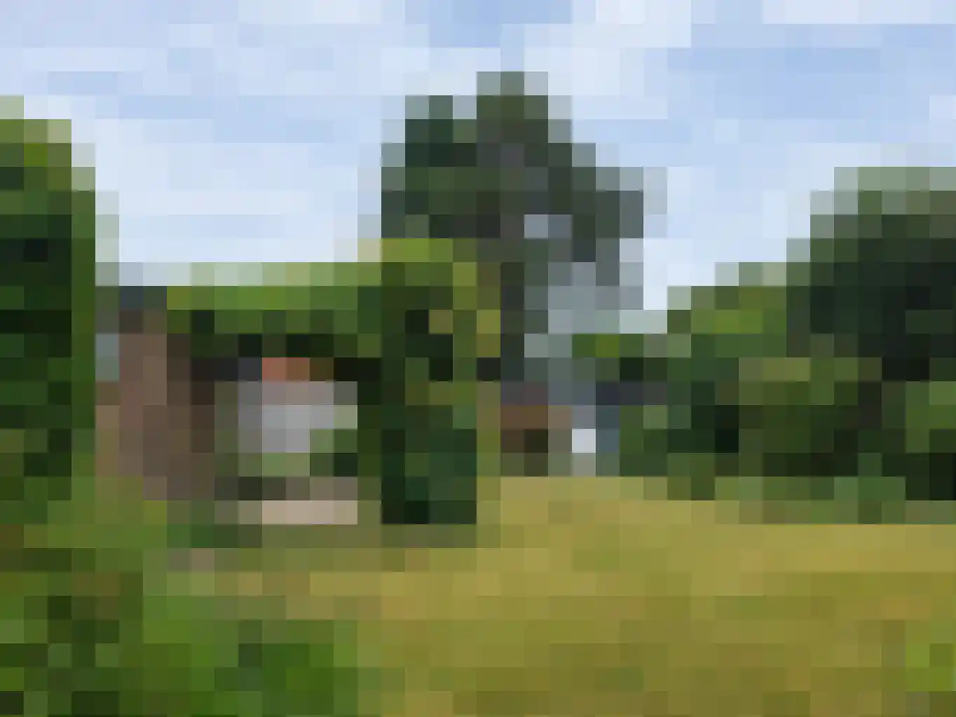 Meeuwenweg 12 Hengelo thumbnail 74