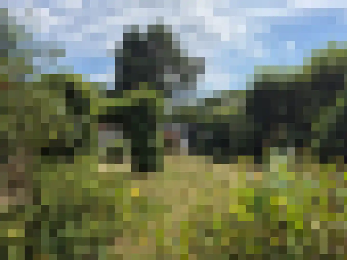 Meeuwenweg 12 Hengelo thumbnail 75