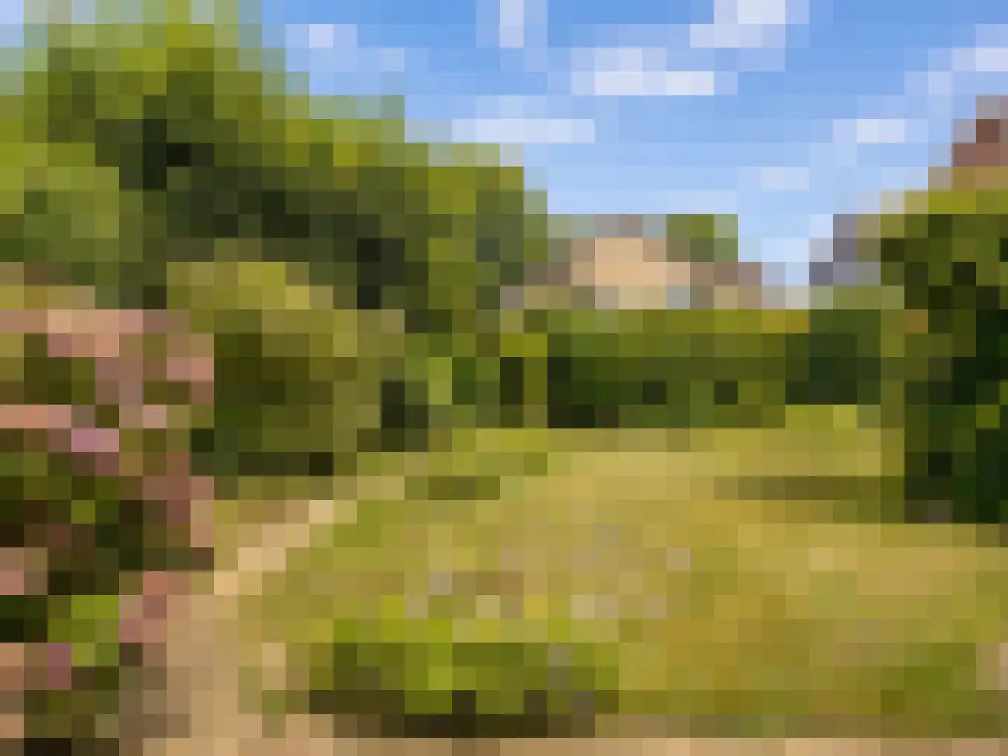 Meeuwenweg 12 Hengelo thumbnail 79