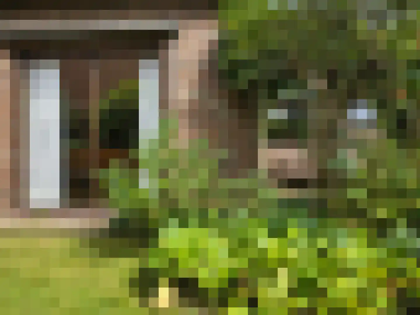 Meeuwenweg 12 Hengelo thumbnail 82