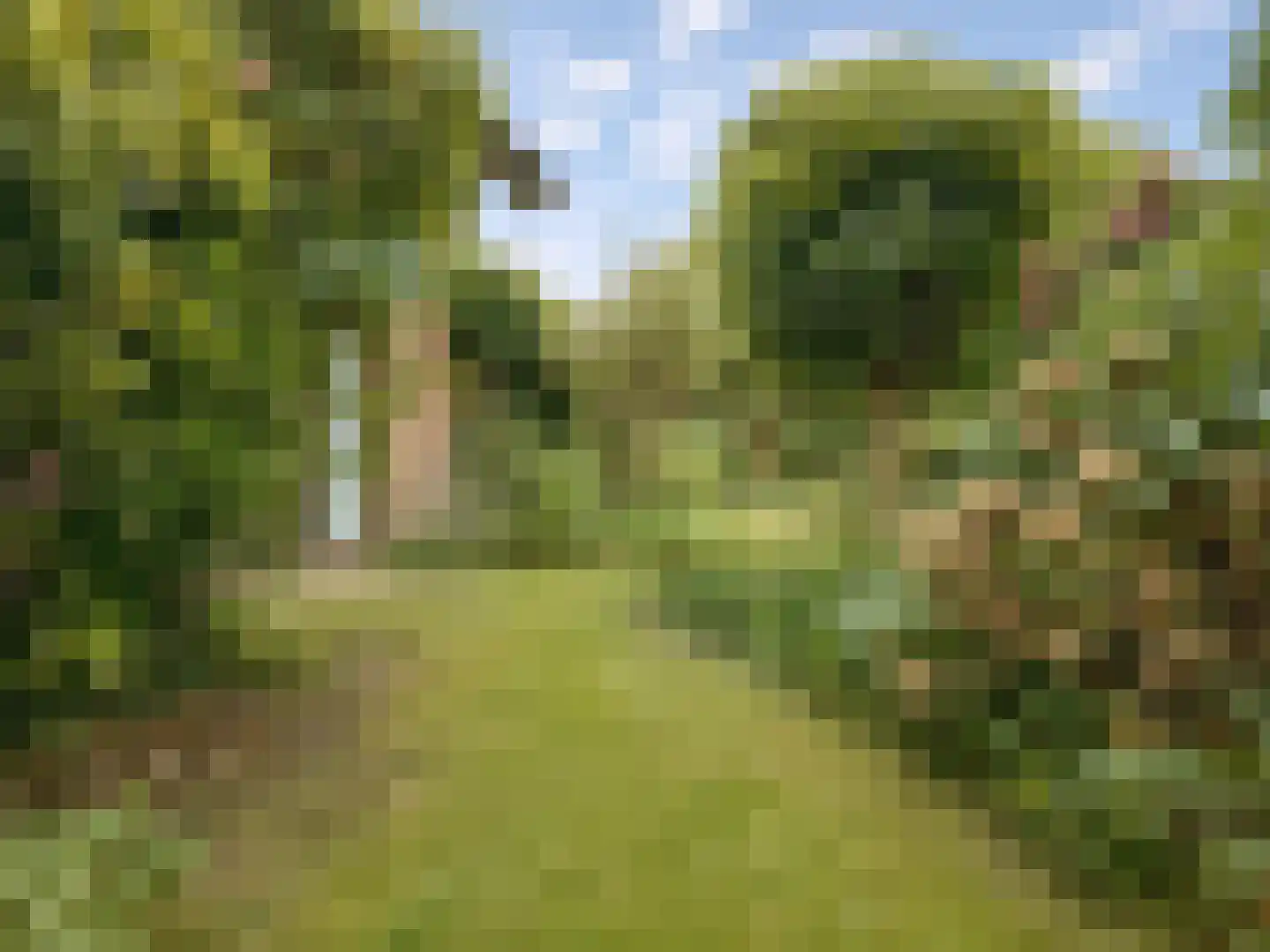 Meeuwenweg 12 Hengelo thumbnail 83