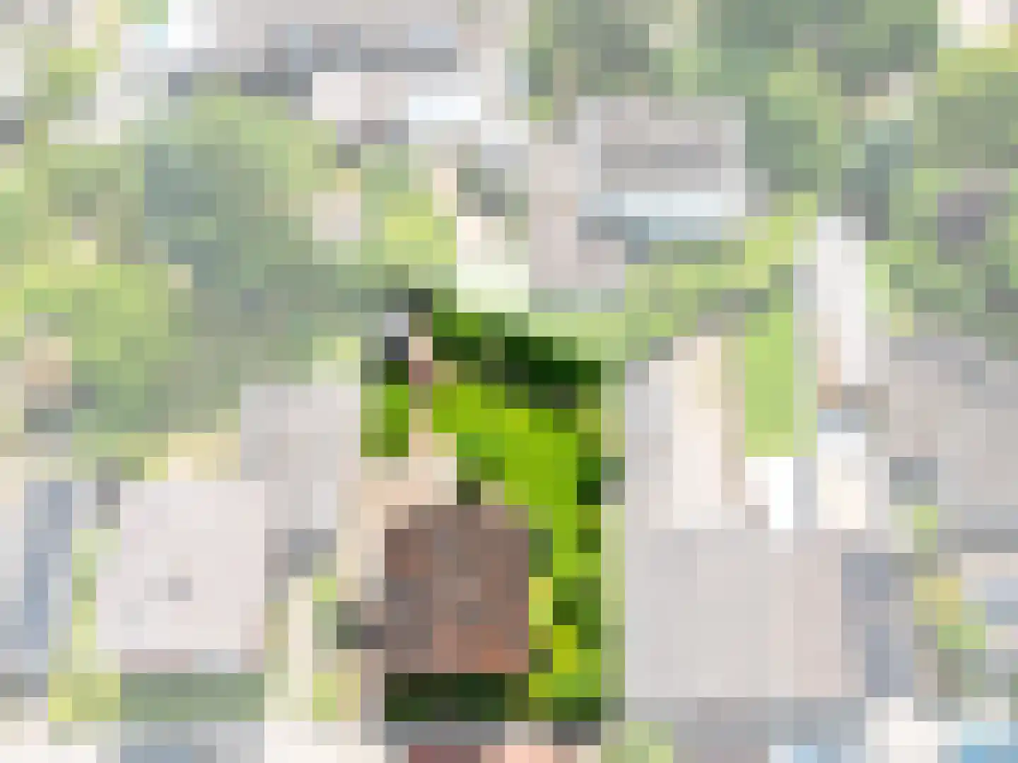 Meeuwenweg 12 Hengelo thumbnail 87