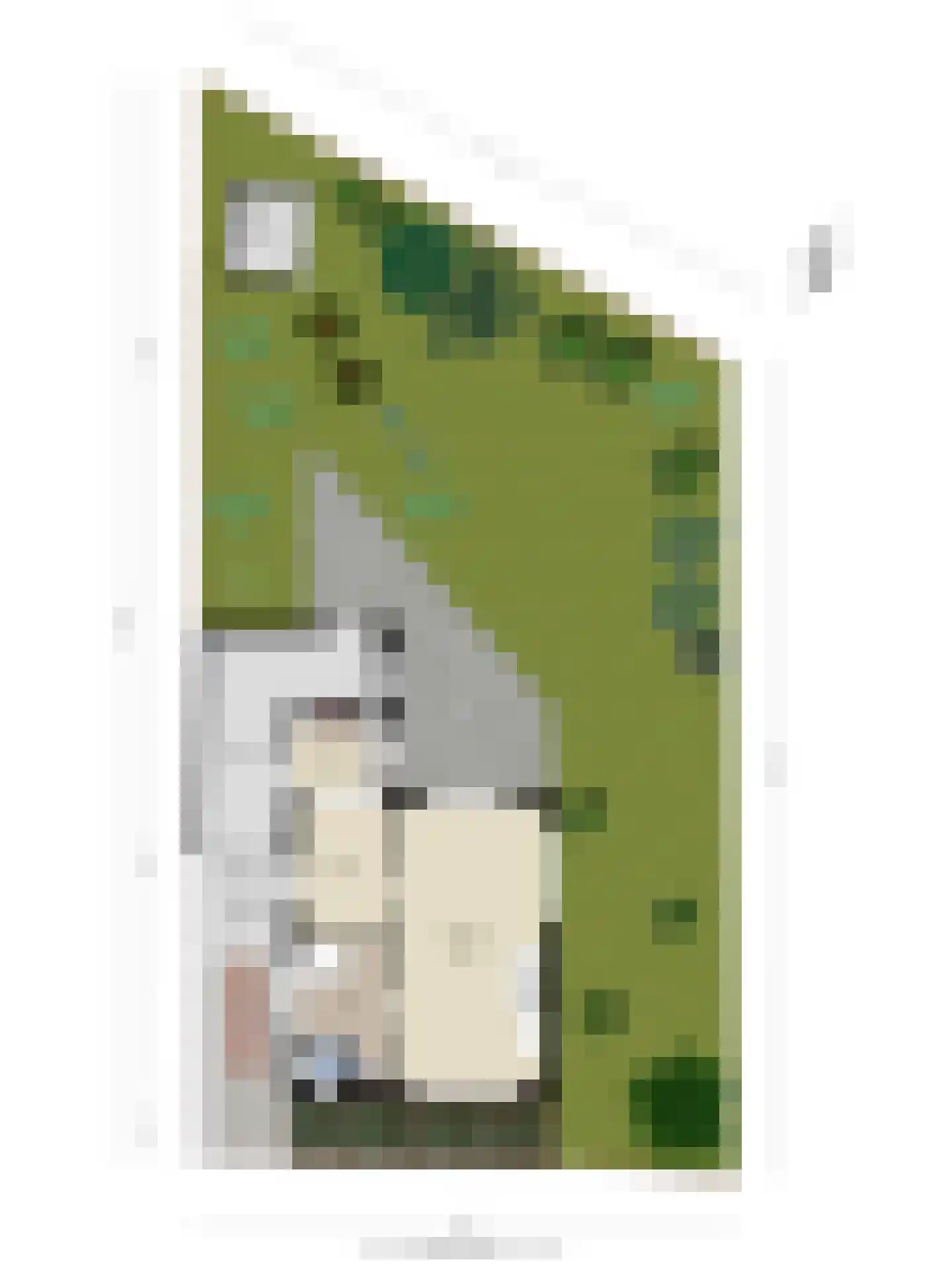 Meeuwenweg 12 Hengelo thumbnail 91