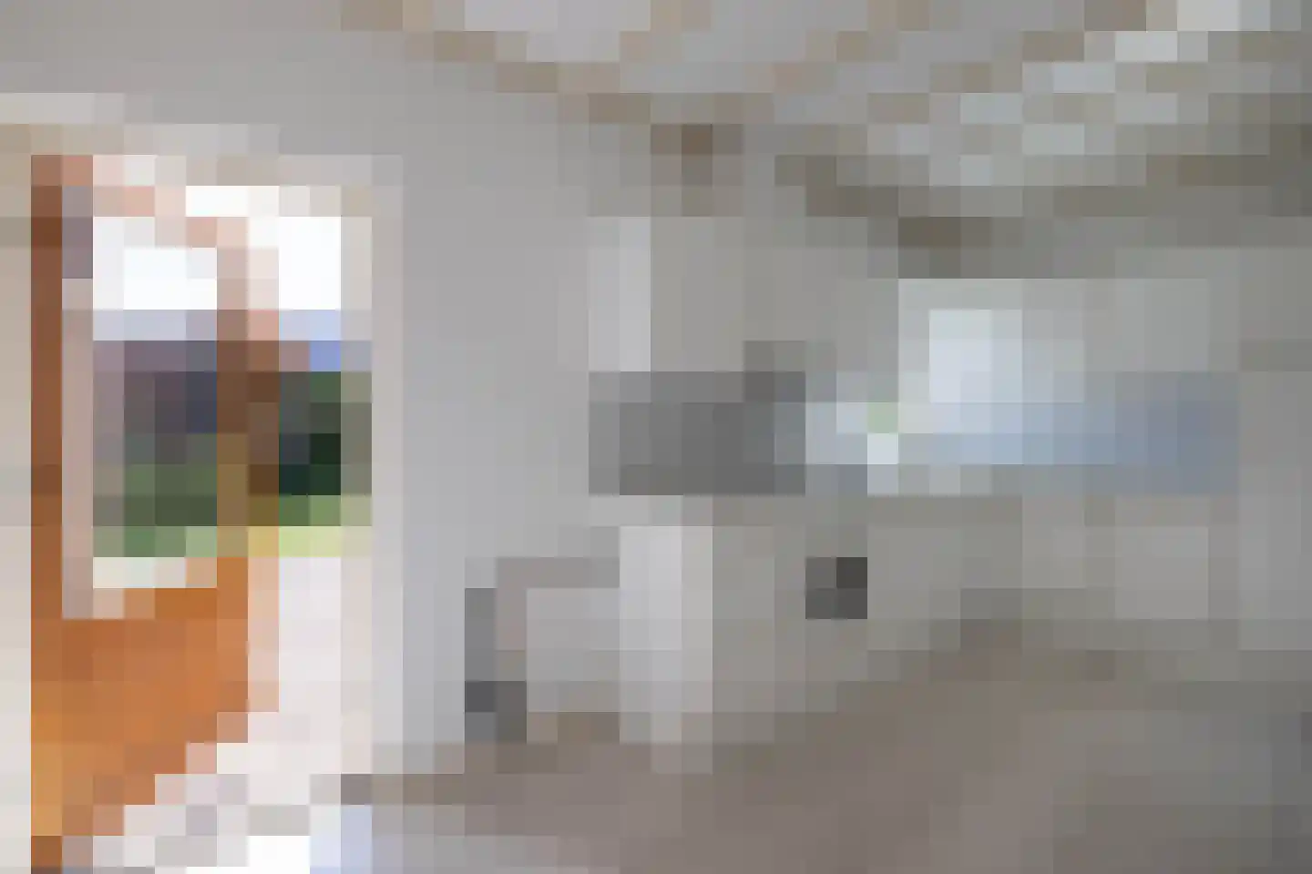 Meeuwenweg 14 Hengelo thumbnail 12