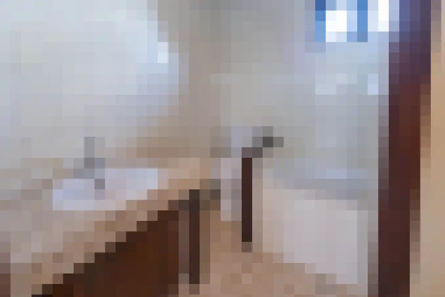 Meeuwenweg 14 Hengelo thumbnail 20