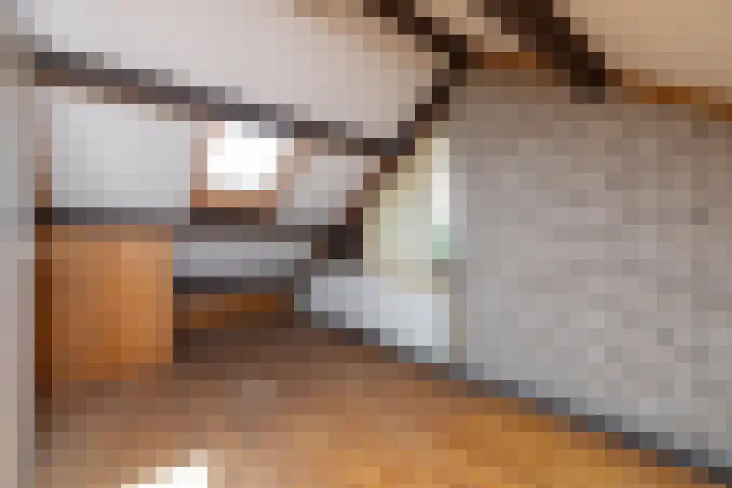 Meeuwenweg 14 Hengelo thumbnail 23