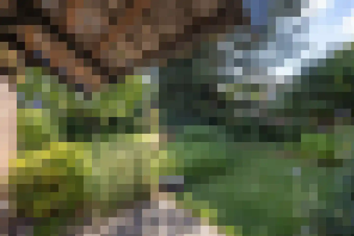 Meeuwenweg 14 Hengelo thumbnail 27