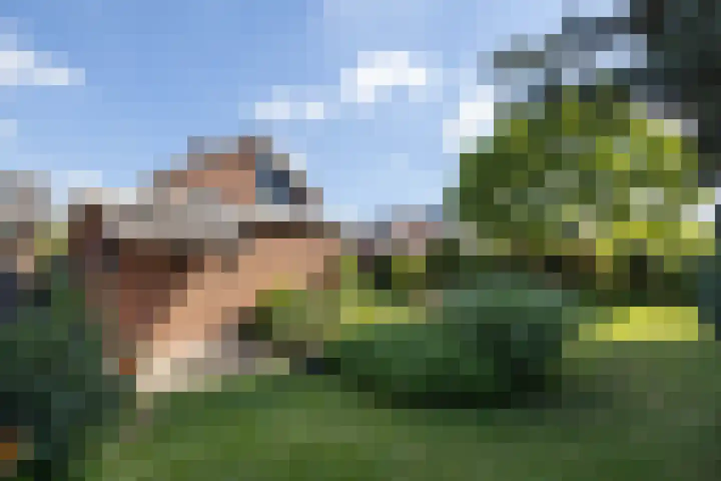 Meeuwenweg 14 Hengelo thumbnail 28