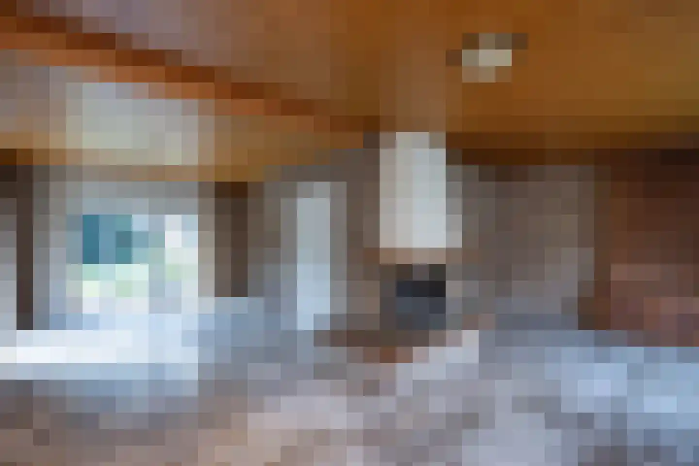 Meeuwenweg 14 Hengelo thumbnail 6