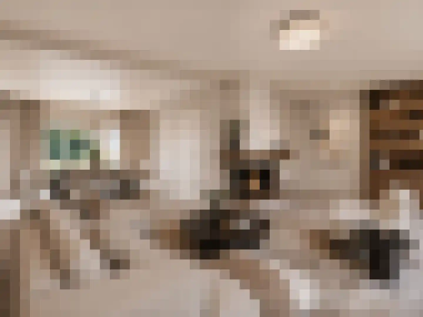 Meeuwenweg 14 Hengelo thumbnail 7