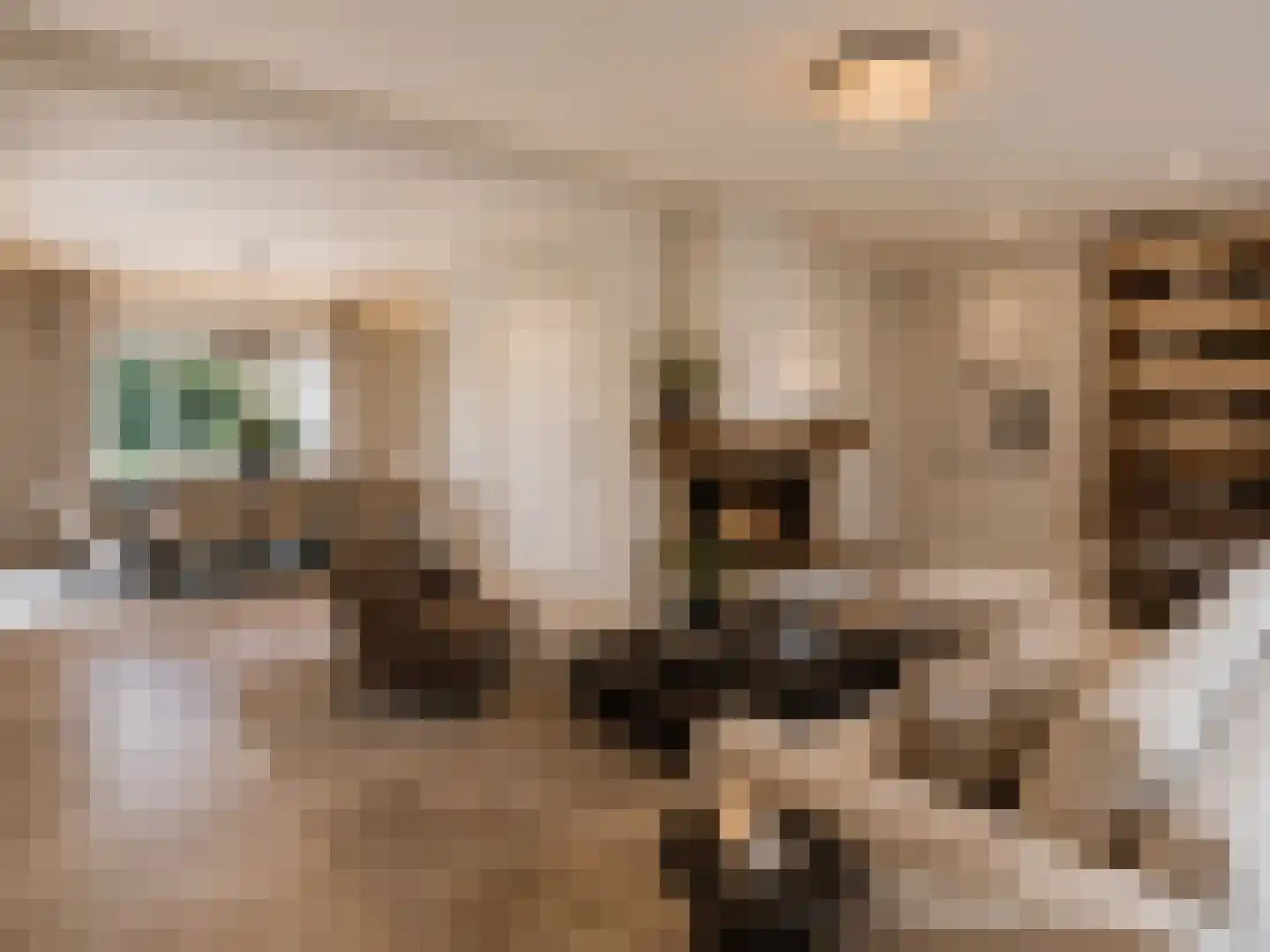 Meeuwenweg 14 Hengelo thumbnail 8