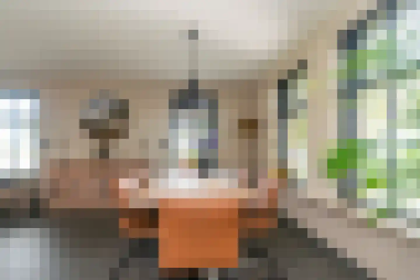 Meeuwenweg 16 a Zuidwolde thumbnail 10