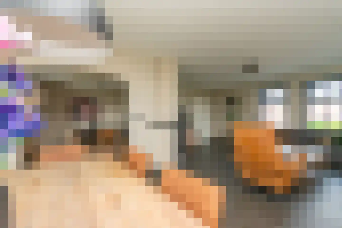 Meeuwenweg 16 a Zuidwolde thumbnail 12