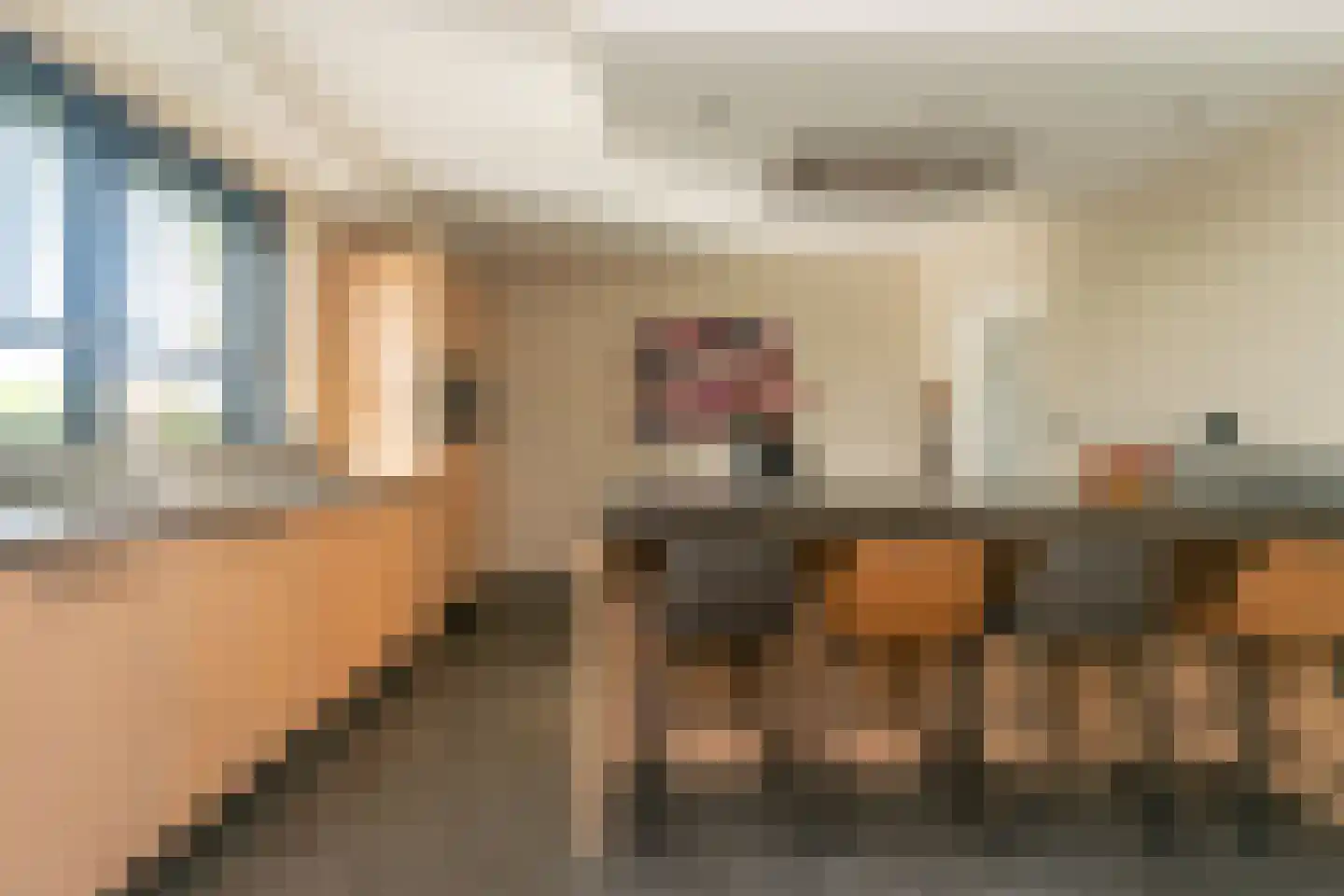 Meeuwenweg 16 a Zuidwolde thumbnail 13