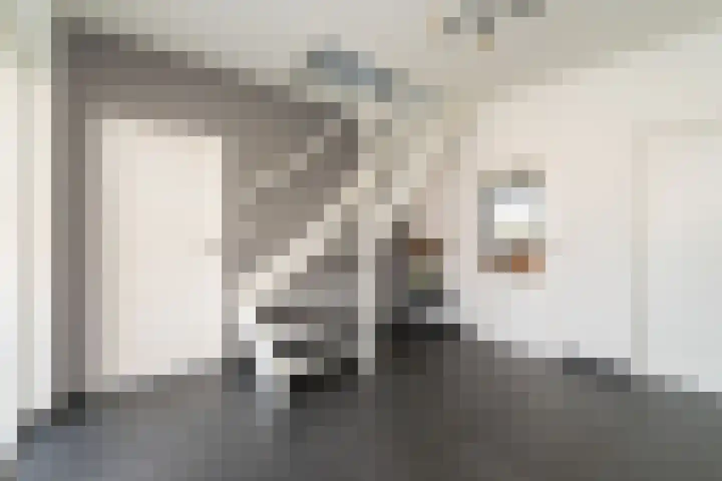 Meeuwenweg 16 a Zuidwolde thumbnail 17