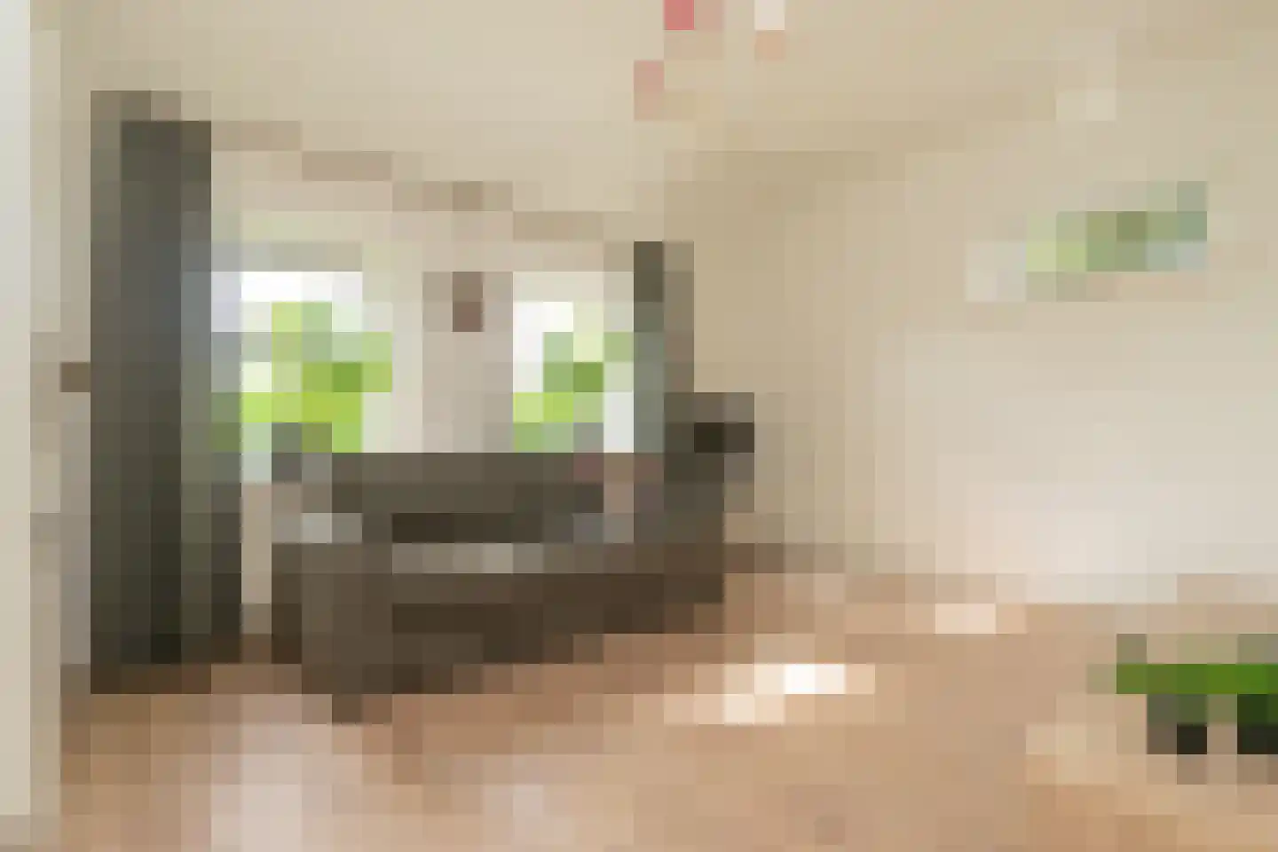 Meeuwenweg 16 a Zuidwolde thumbnail 18