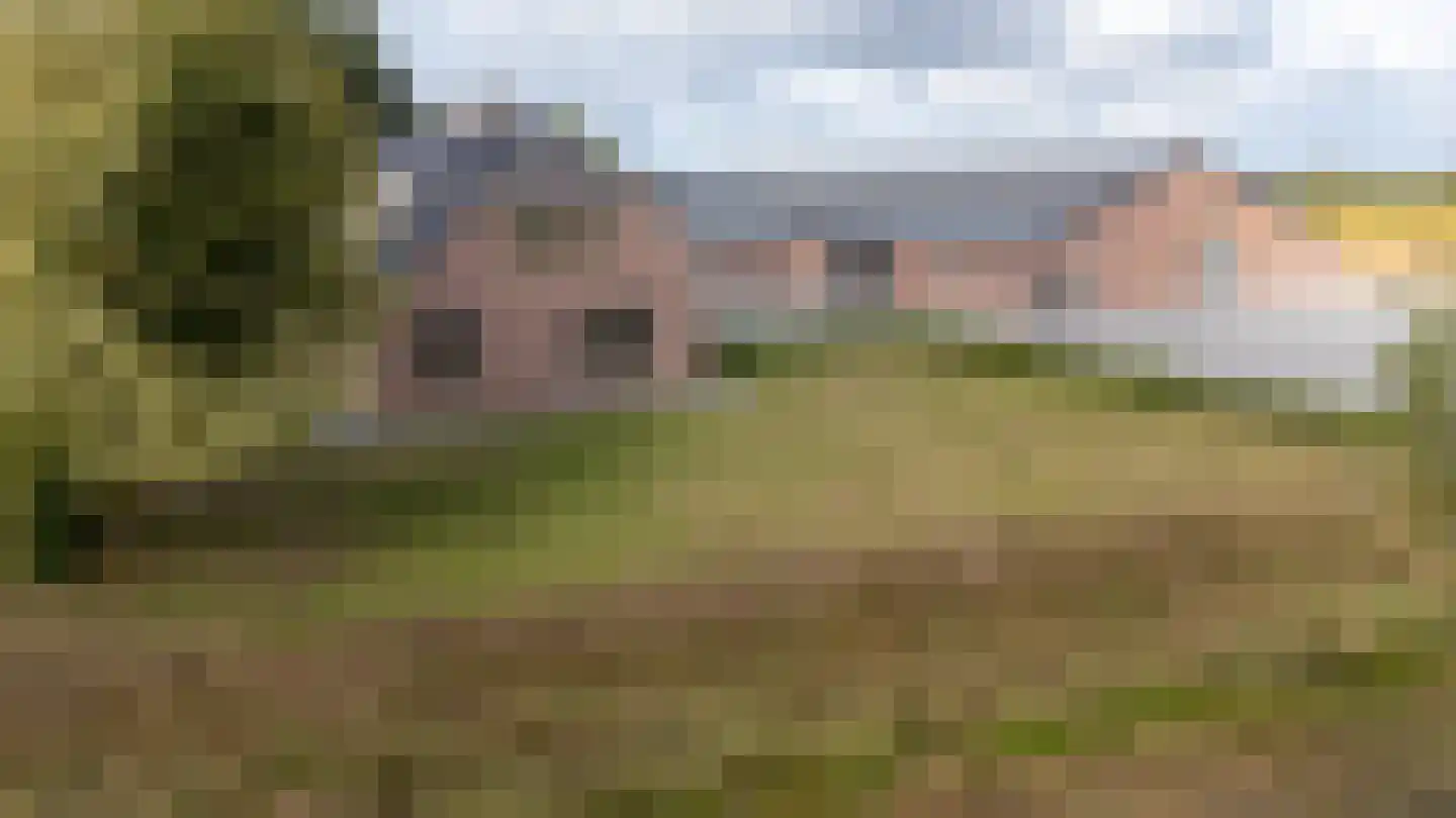 Meeuwenweg 16 a Zuidwolde thumbnail 38