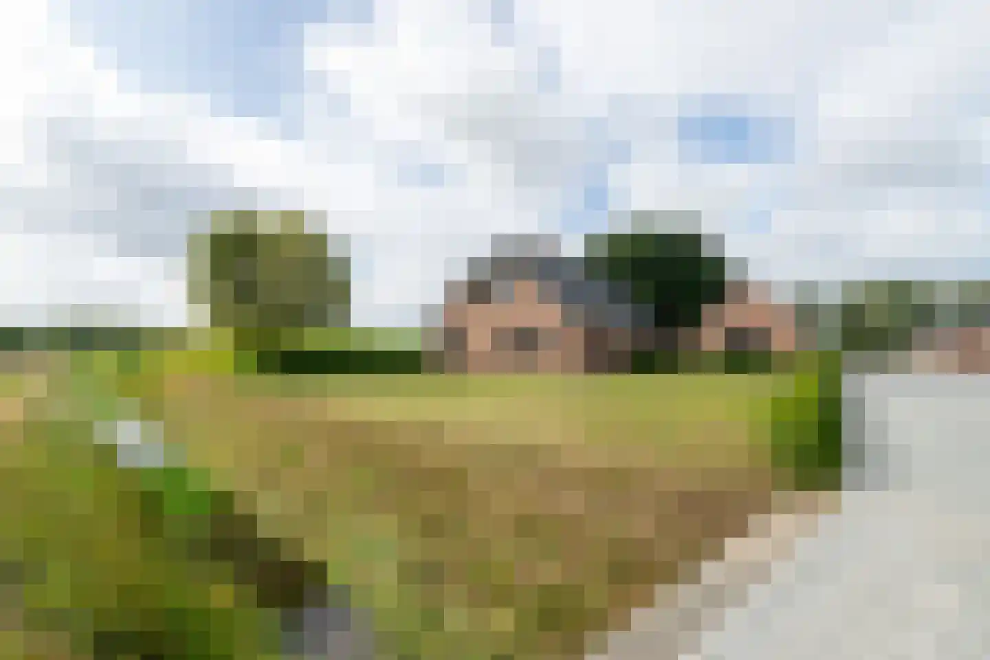 Meeuwenweg 16 a Zuidwolde thumbnail 4