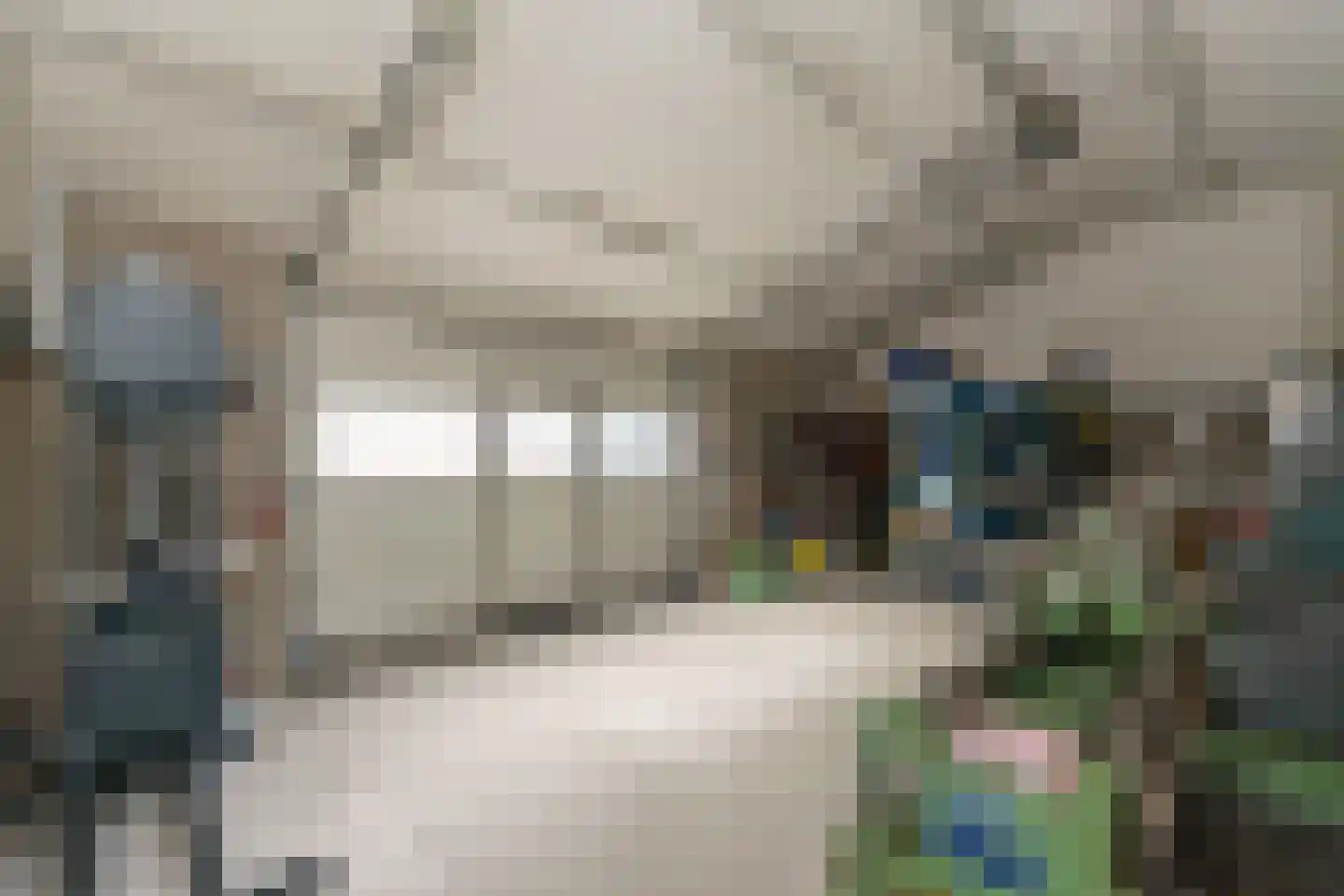 Meeuwenweg 16 a Zuidwolde thumbnail 47
