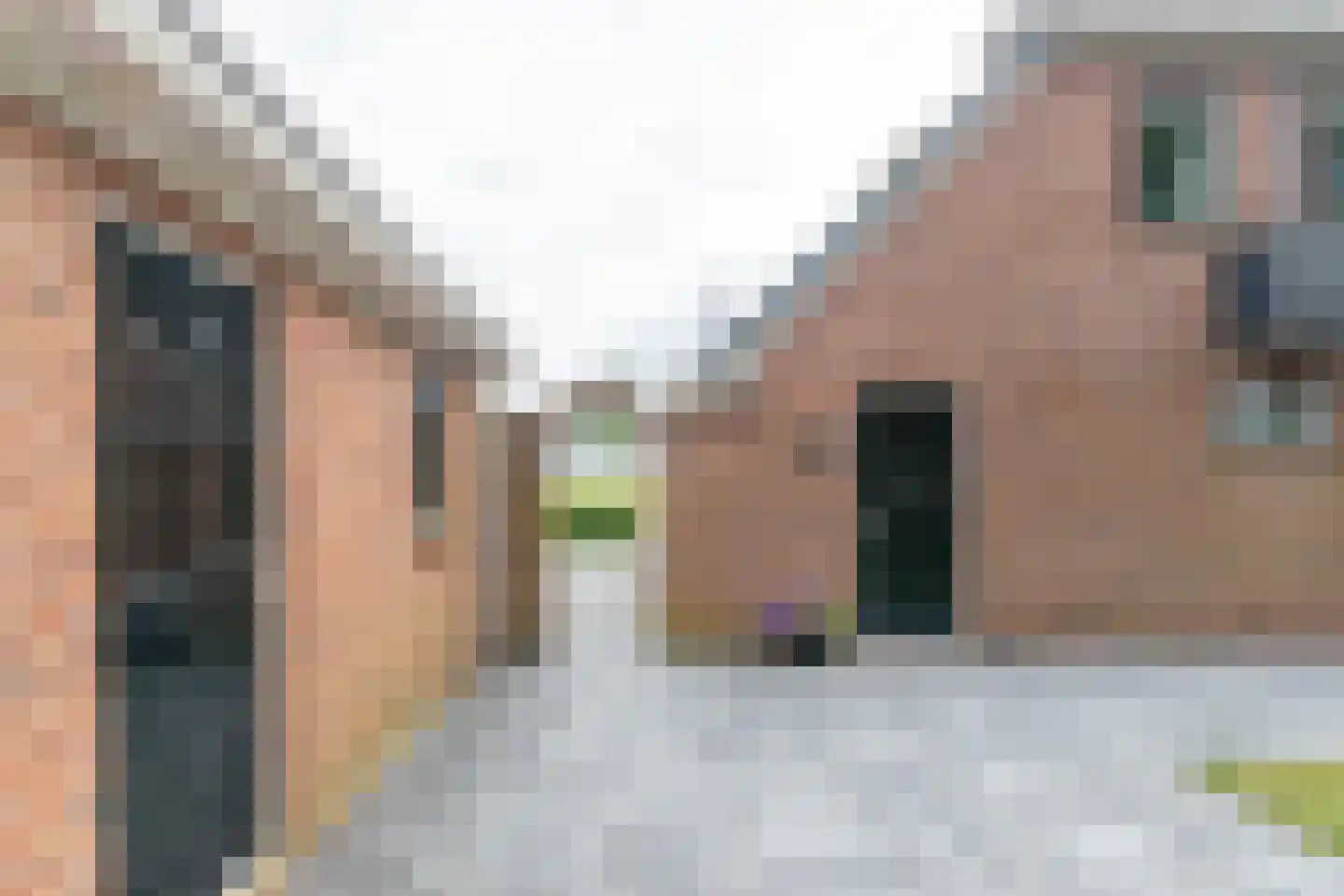 Meeuwenweg 16 a Zuidwolde thumbnail 51