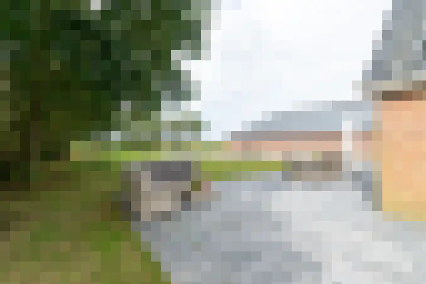 Meeuwenweg 16 a Zuidwolde thumbnail 53
