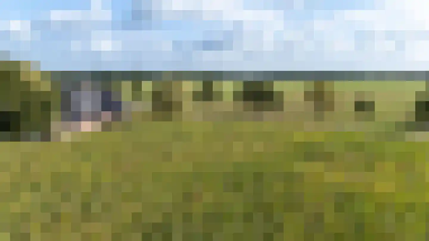 Meeuwenweg 16 a Zuidwolde thumbnail 55