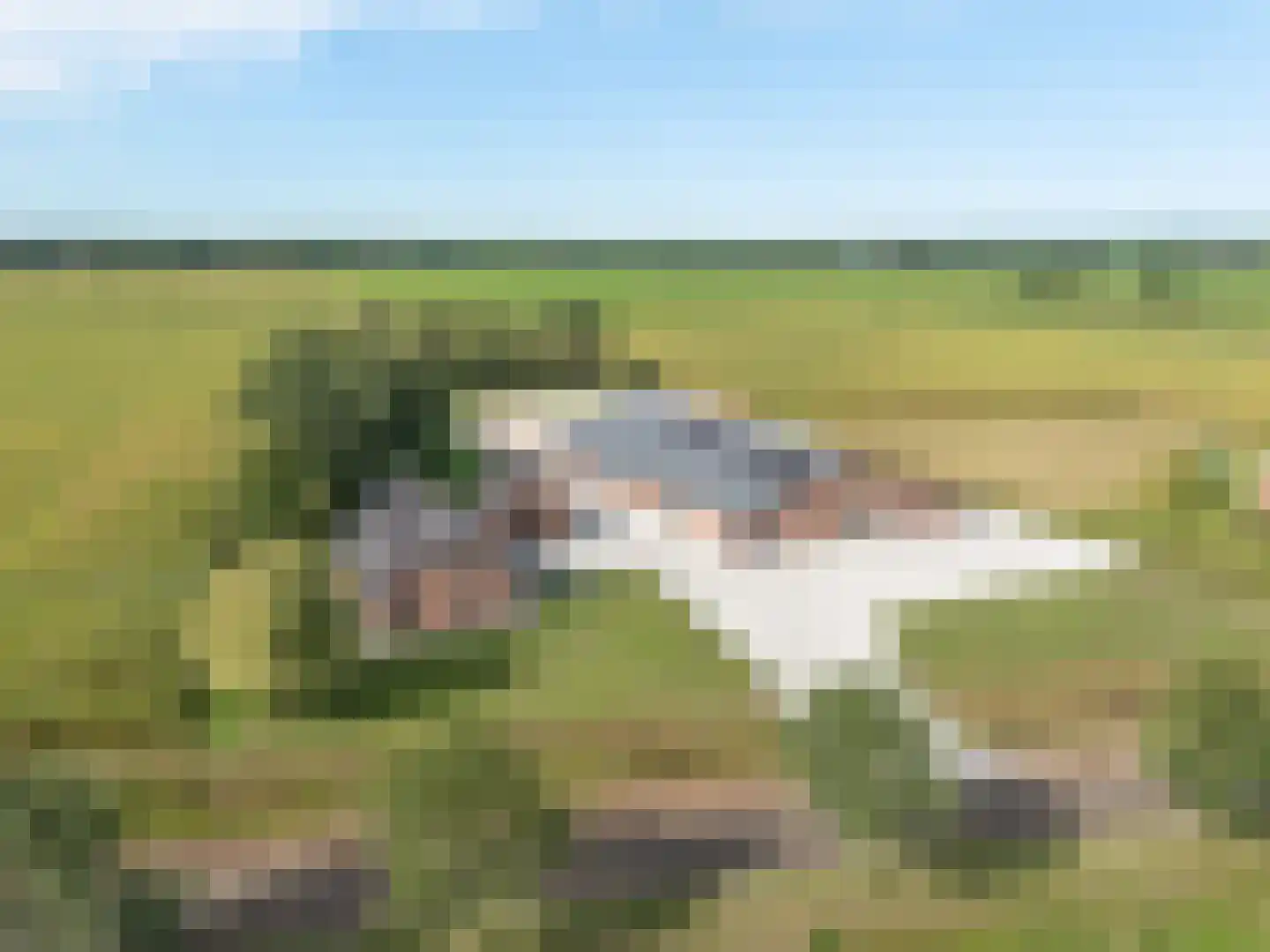 Meeuwenweg 16 a Zuidwolde thumbnail 56